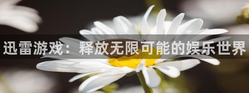 杏盛平台主管
