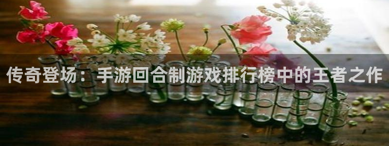 杏盛注册：传奇登场：手游回合制游戏排行榜中的王者之作