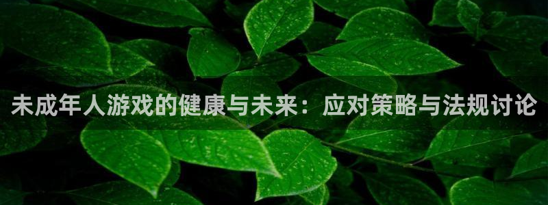 杏盛平台主管：未成年人游戏的健康与未来：应对策略与法规讨论