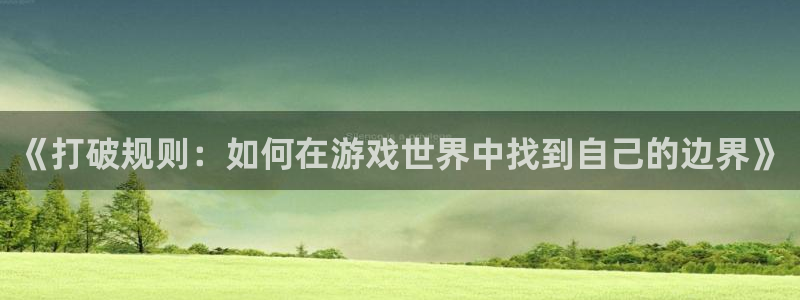 杏盛：《打破规则：如何在游戏世界中找到自己的边界》