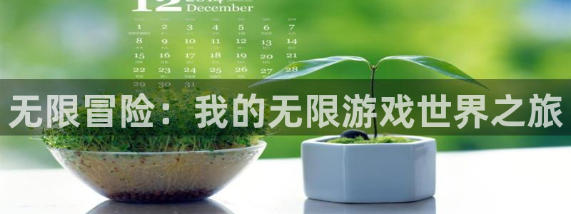 杏盛平台注册：无限冒险：我的无限游戏世界之旅