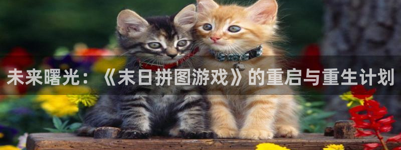 杏盛平台代理：未来曙光：《末日拼图游戏》的重启与重生计划